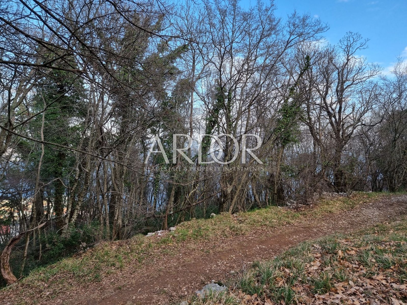 1724934037_1000006032