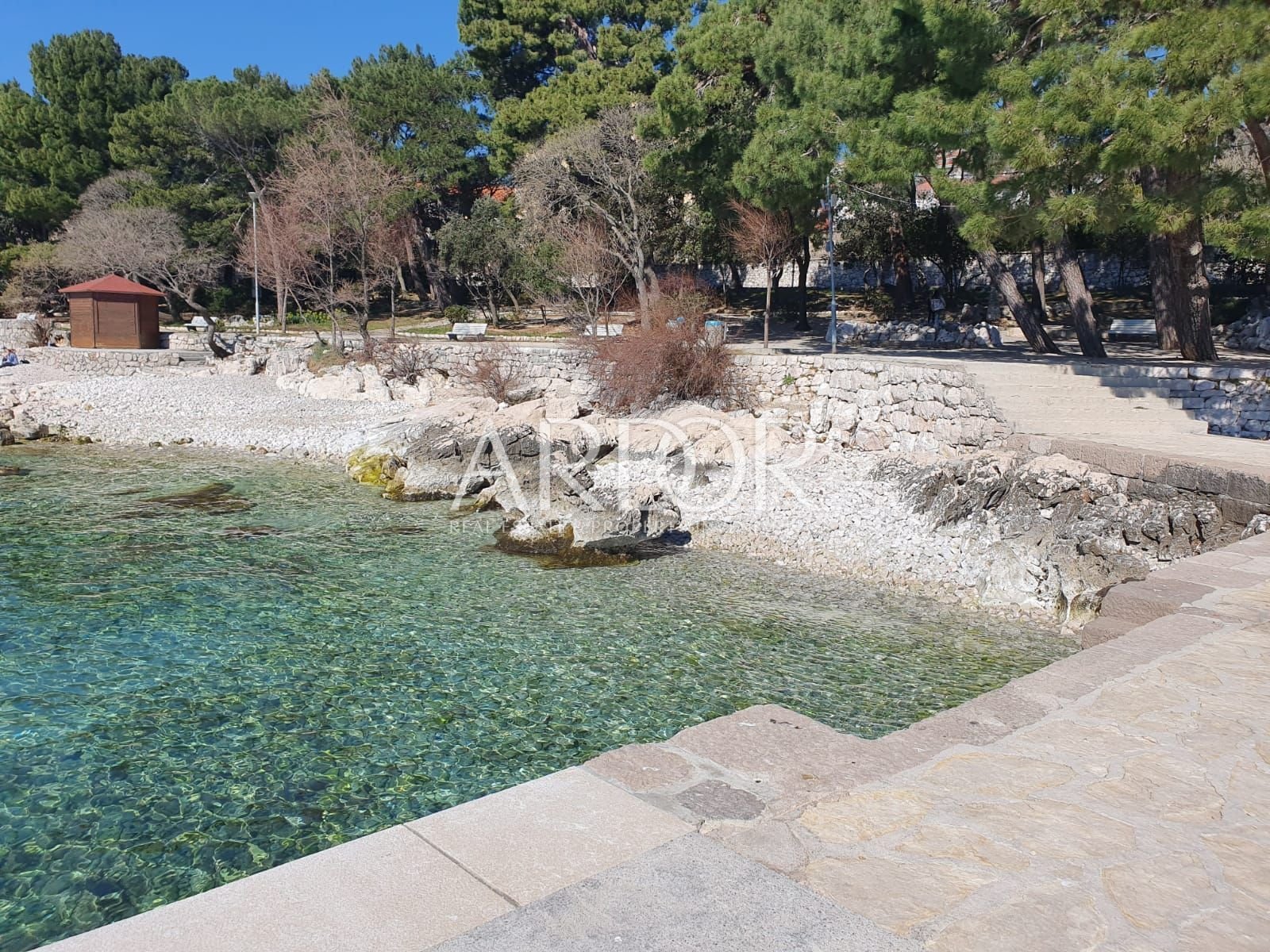 1615454921_whatsapp-image-2021-03-11-at-9