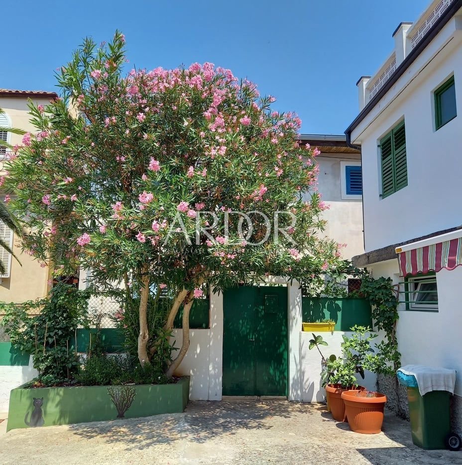 1651505258_223618298_633443230932112_1652076140034543786_n