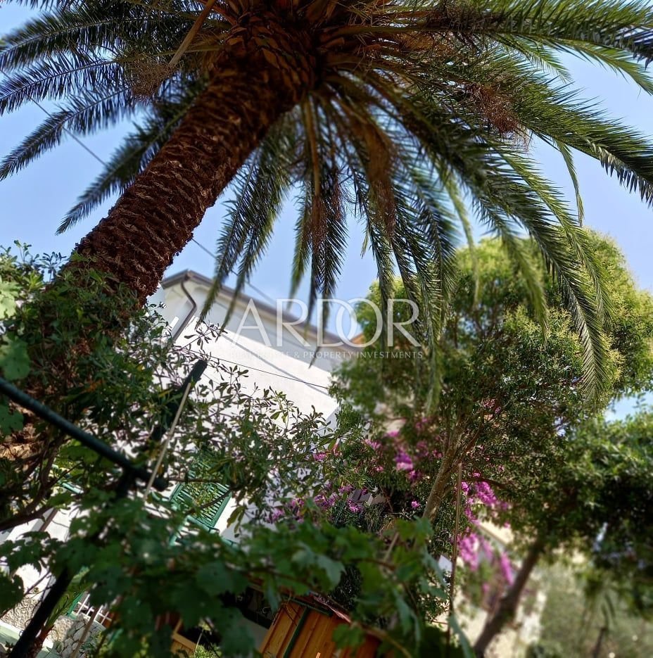 1651505279_225399463_538372377405201_672523285743526127_n