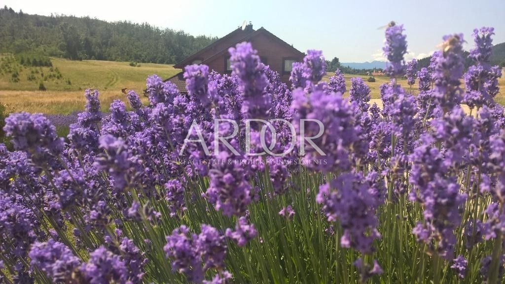 1654796097_viber_slika_2022-06-09_18-07-33-762