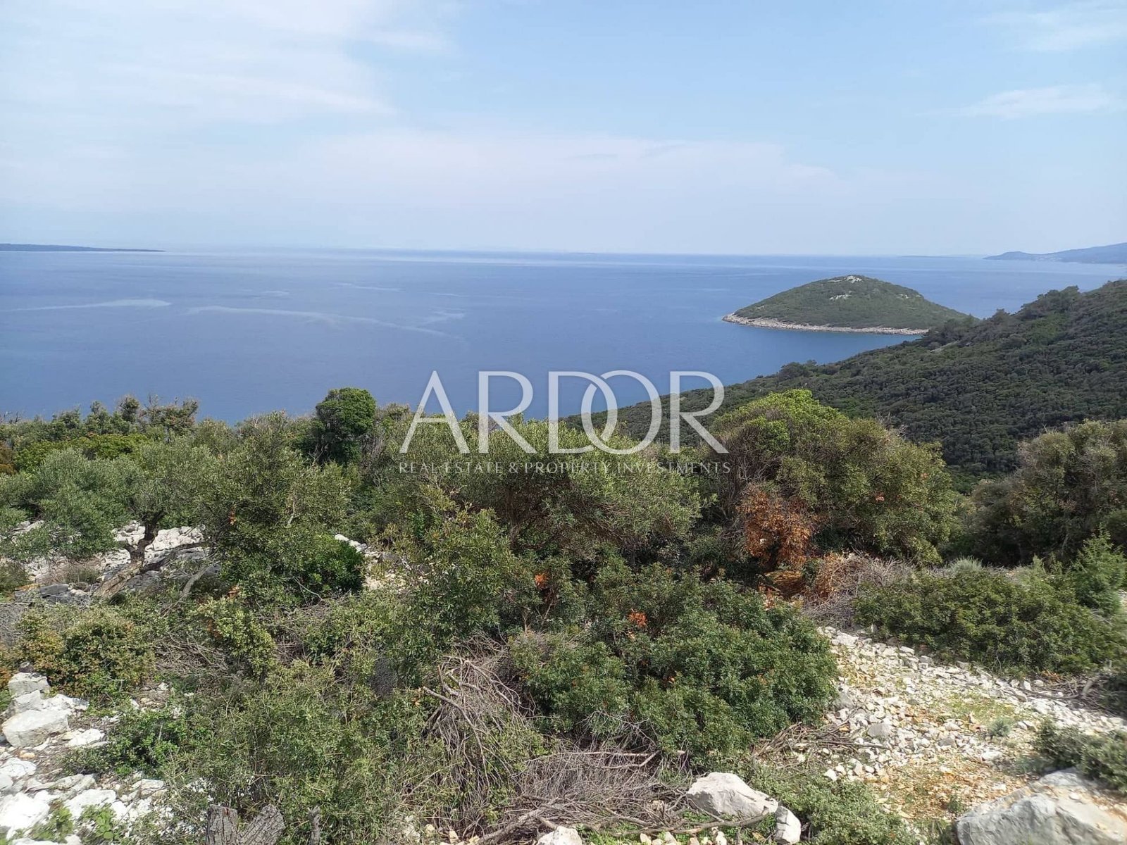 1661080834_299960862_3278460852398919_2803576881707283946_n