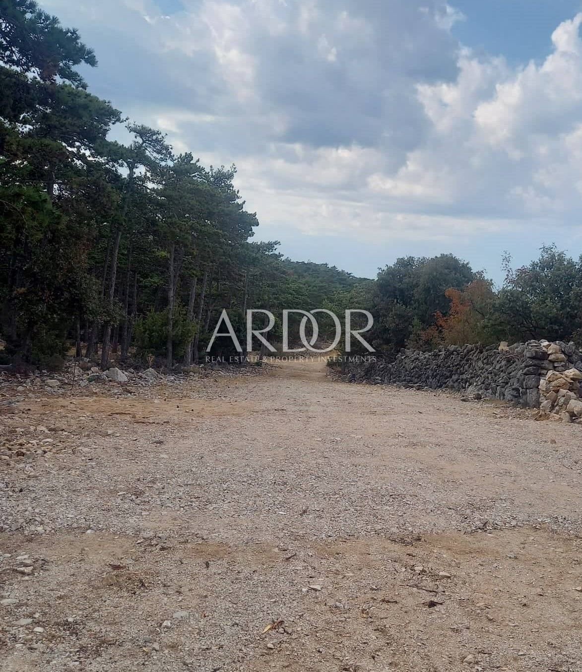 1661080876_300156141_1199543330831154_4474123983274367256_n