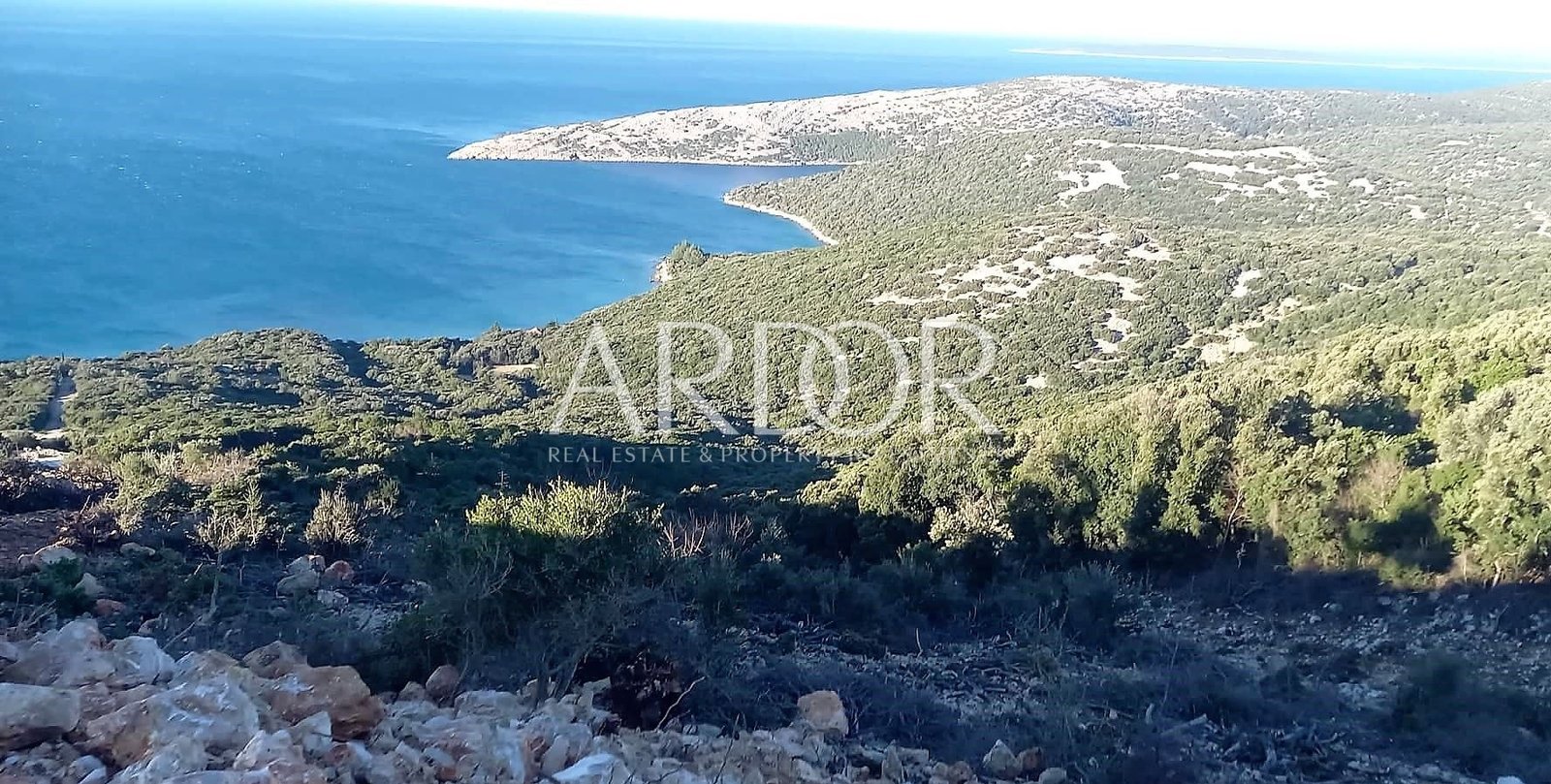 1661080879_300293738_811106406882281_4104573548080143830_n