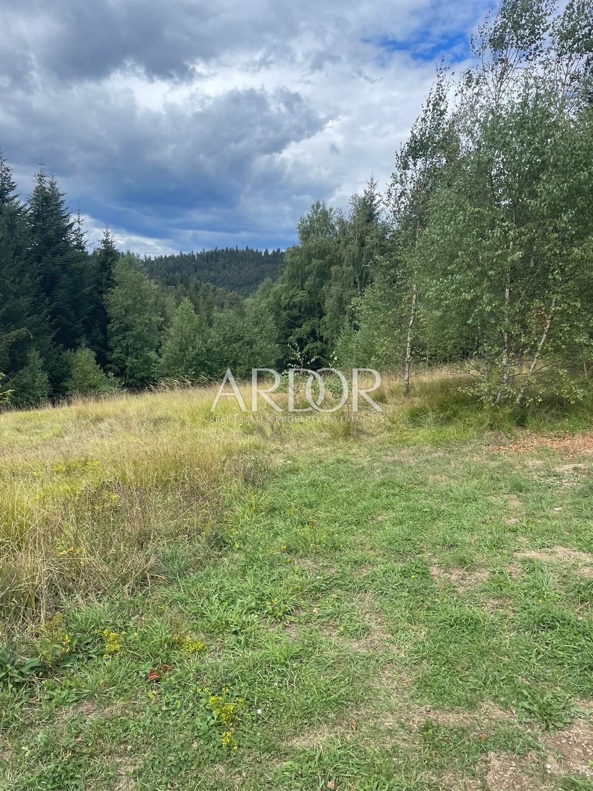 1661155752_whatsapp-image-2022-08-22-at-09