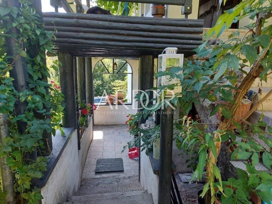 1666775543_thumbnail_photo-2022-10-25-11-40-04-5