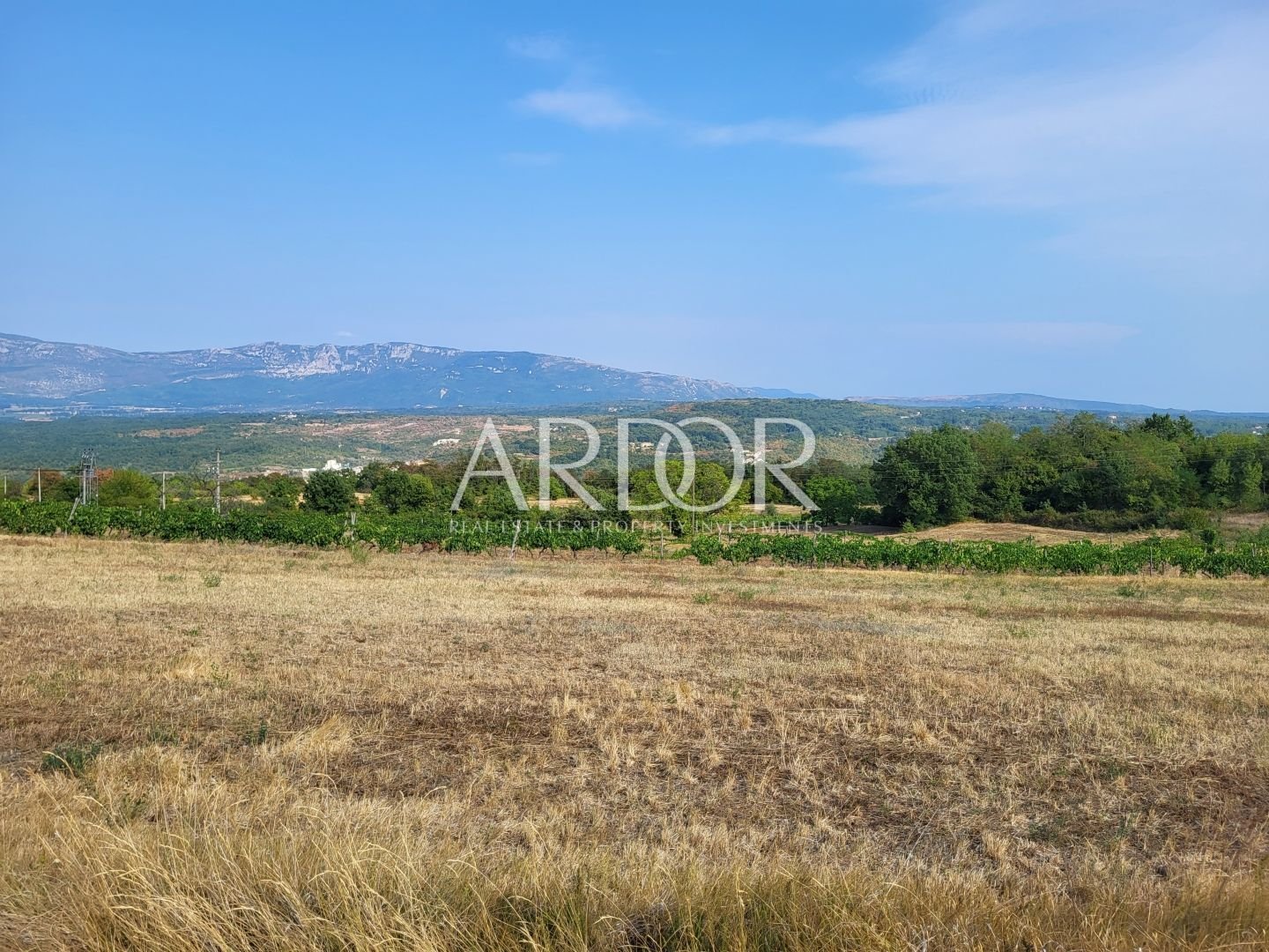 1670585561_1660040197_z2