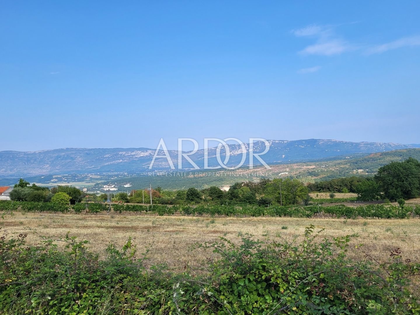 1670585564_1660040206_z4