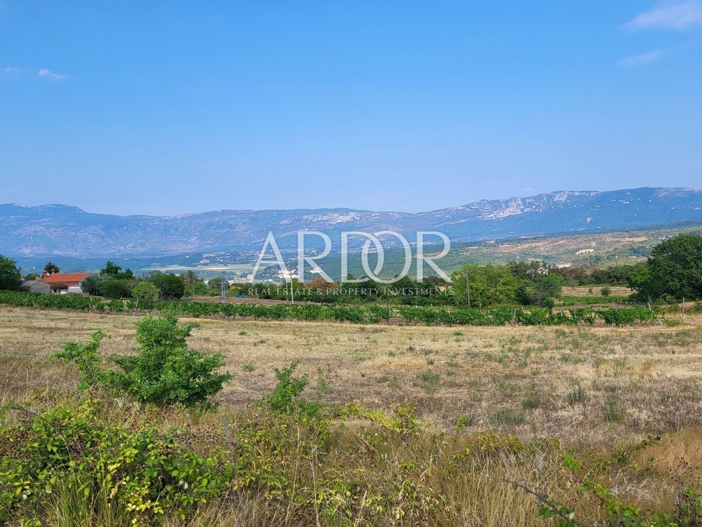 1670587369_1660040225_z5