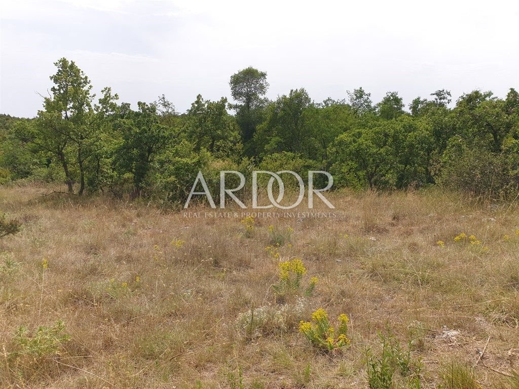 1673868880_20220628153148-060120231558244764