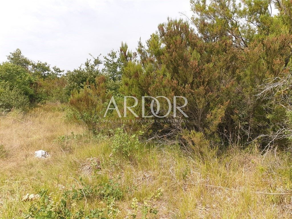 1673868883_20220628153158-060120231559251952