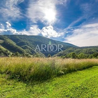 1675422531_308612931_484649557006081_7363811037272955510_n