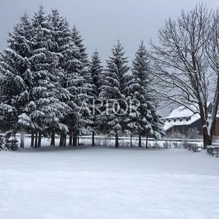 1675422533_12400784_1711707695728404_3237839609053831889_n