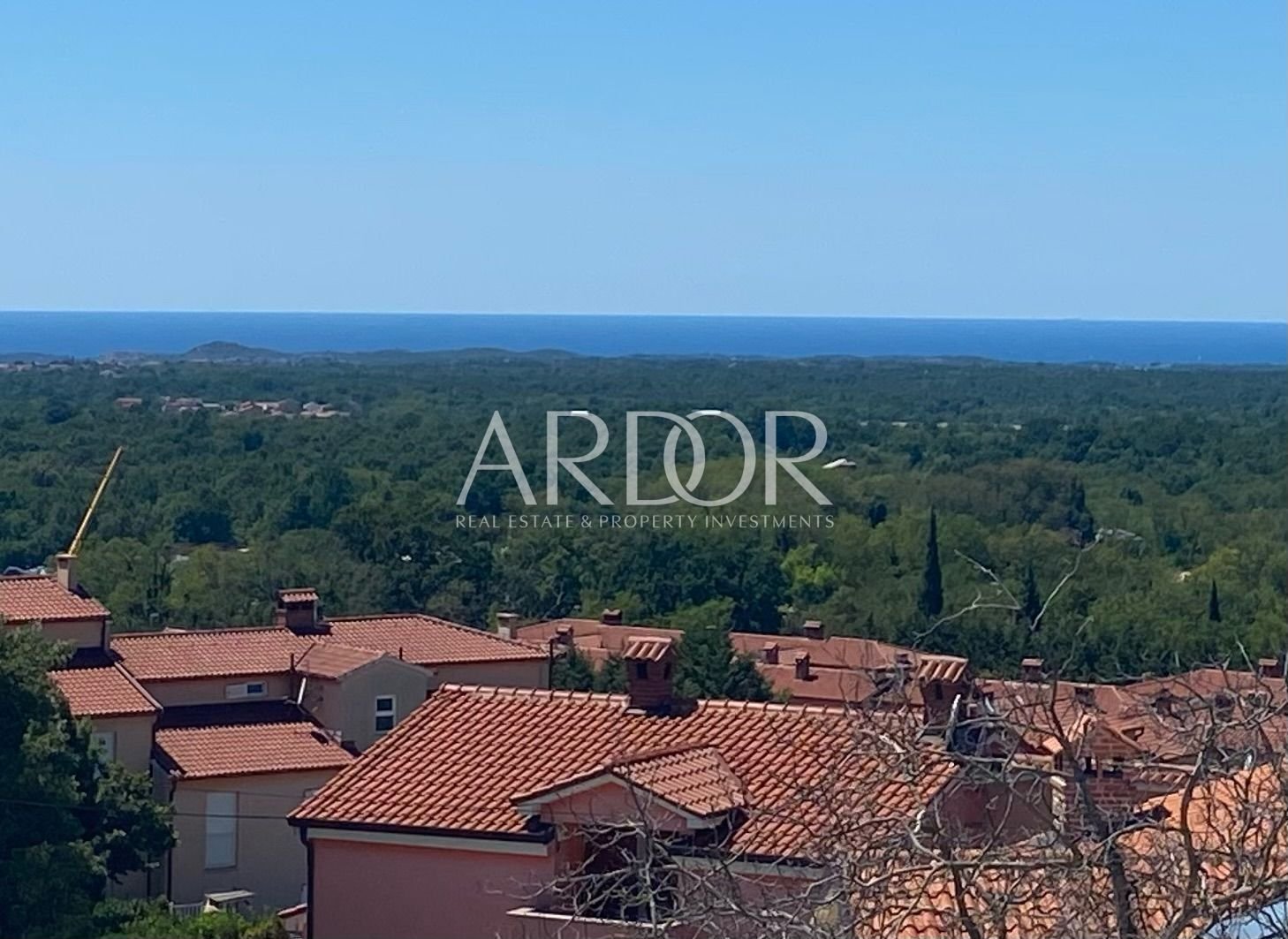 1676027316_image-19762