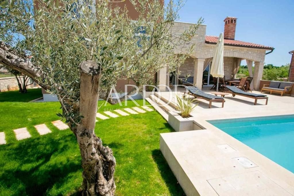 1682409947_233102407