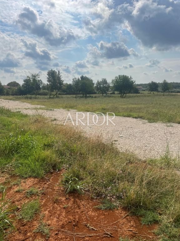 1684743942_unnamed-2__6317367c37266