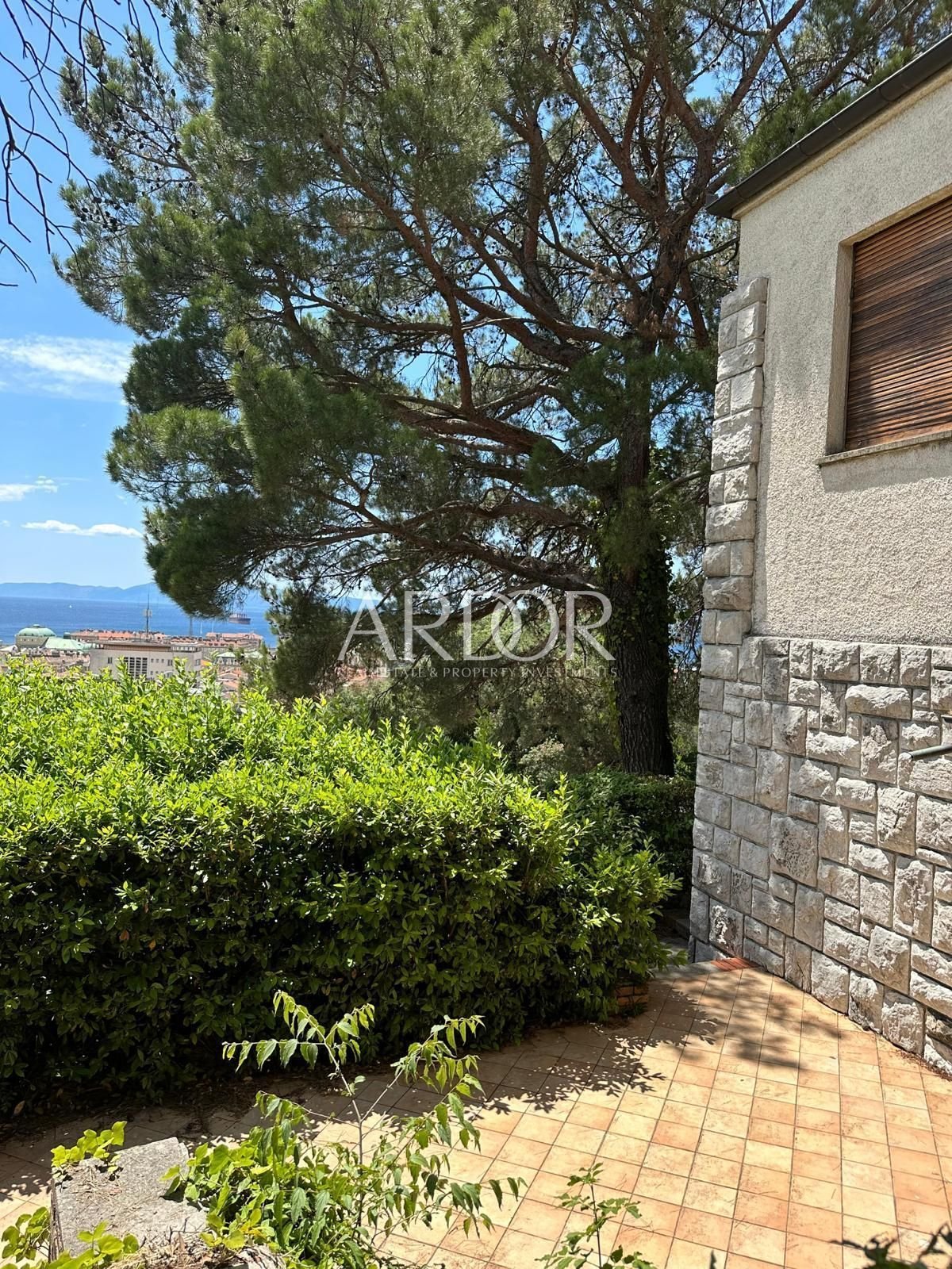 1687853415_photo-2023-06-26-15-17-03