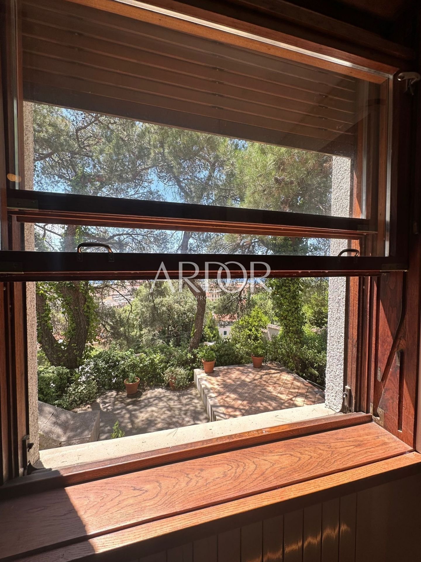 1687853502_photo-2023-06-26-13-40-12-2