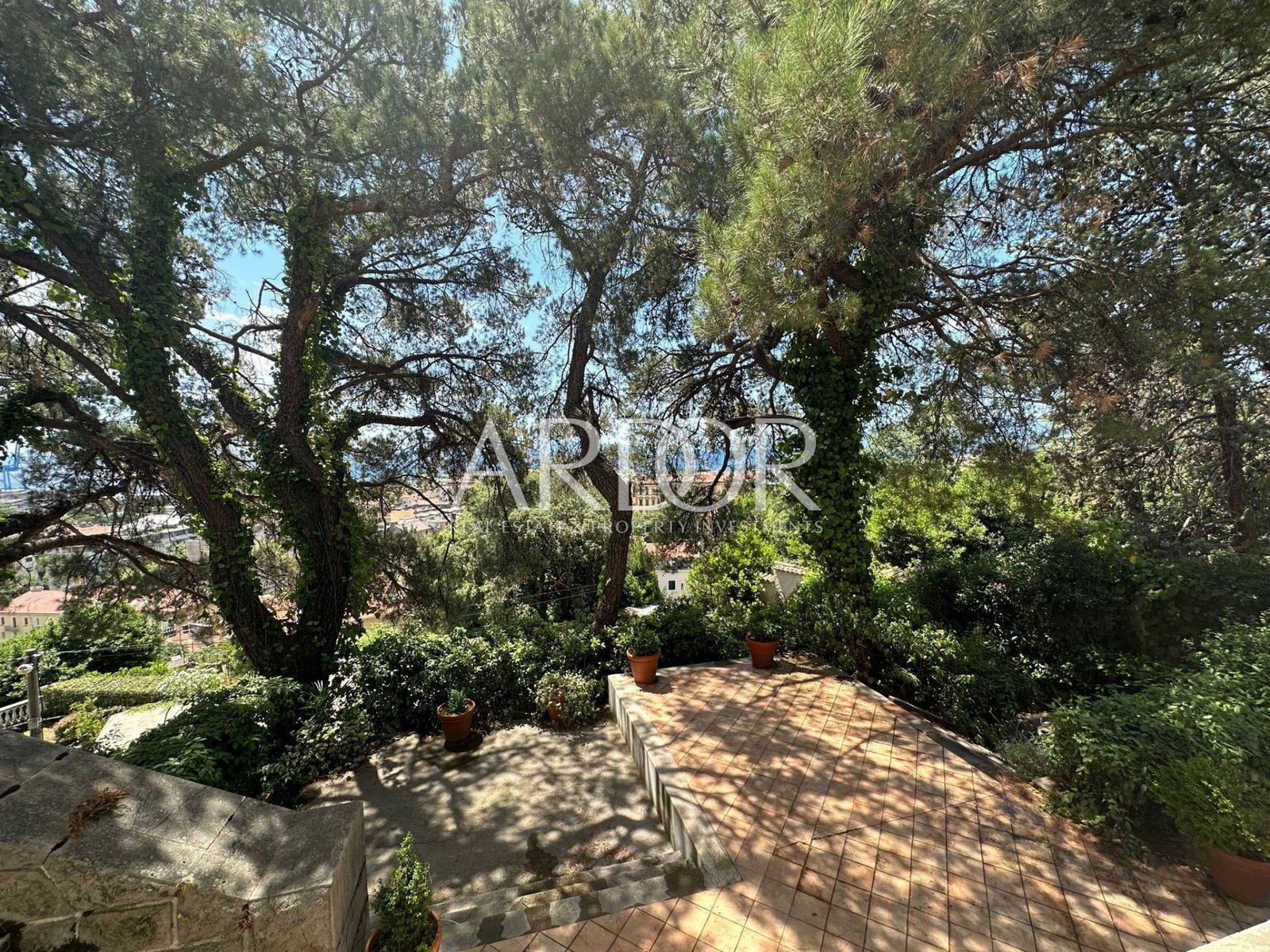 1687853505_photo-2023-06-26-13-40-12-1