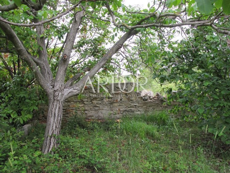 1690454029_brioni-029