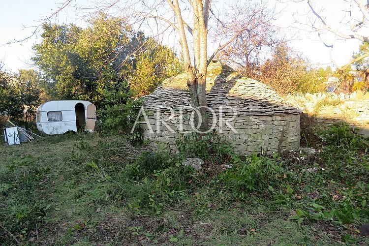 1690454037_img_3715-1