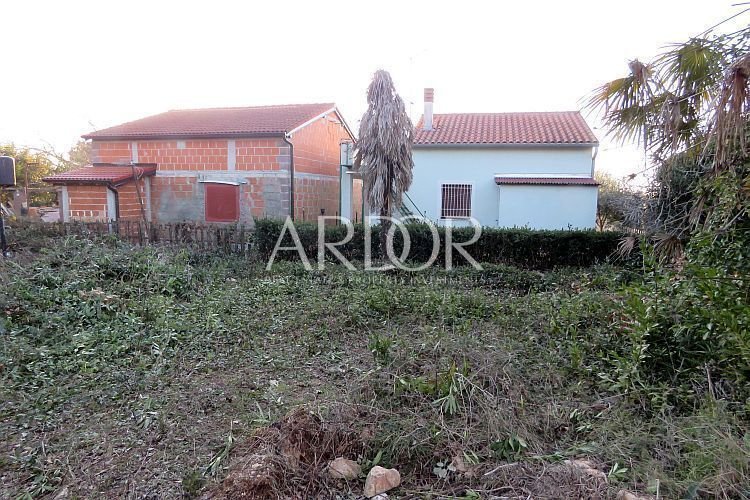 1690454157_img_3717-1