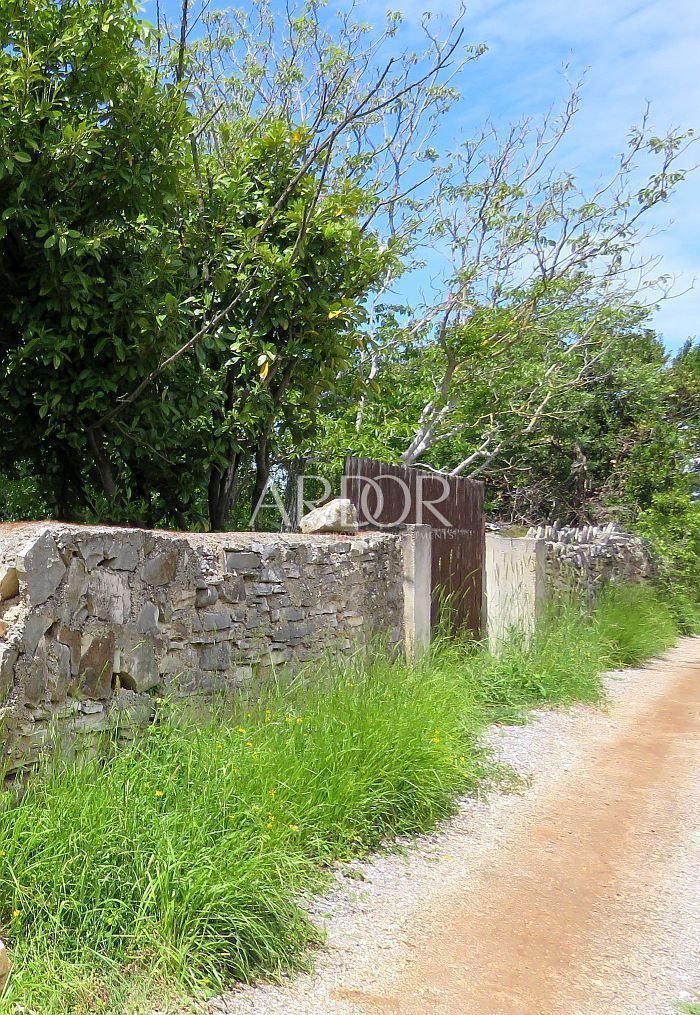 1690454168_prostin-15