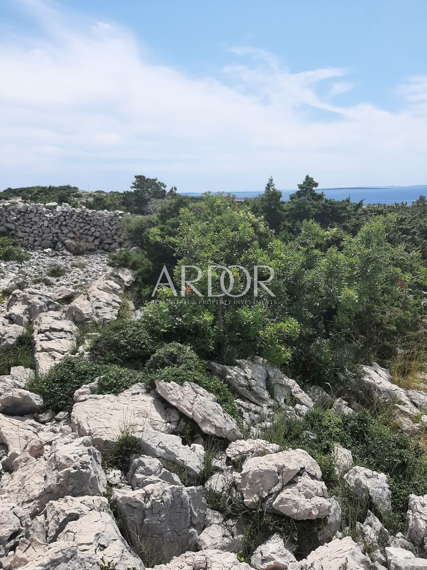 1692263294_20230801_1316081291