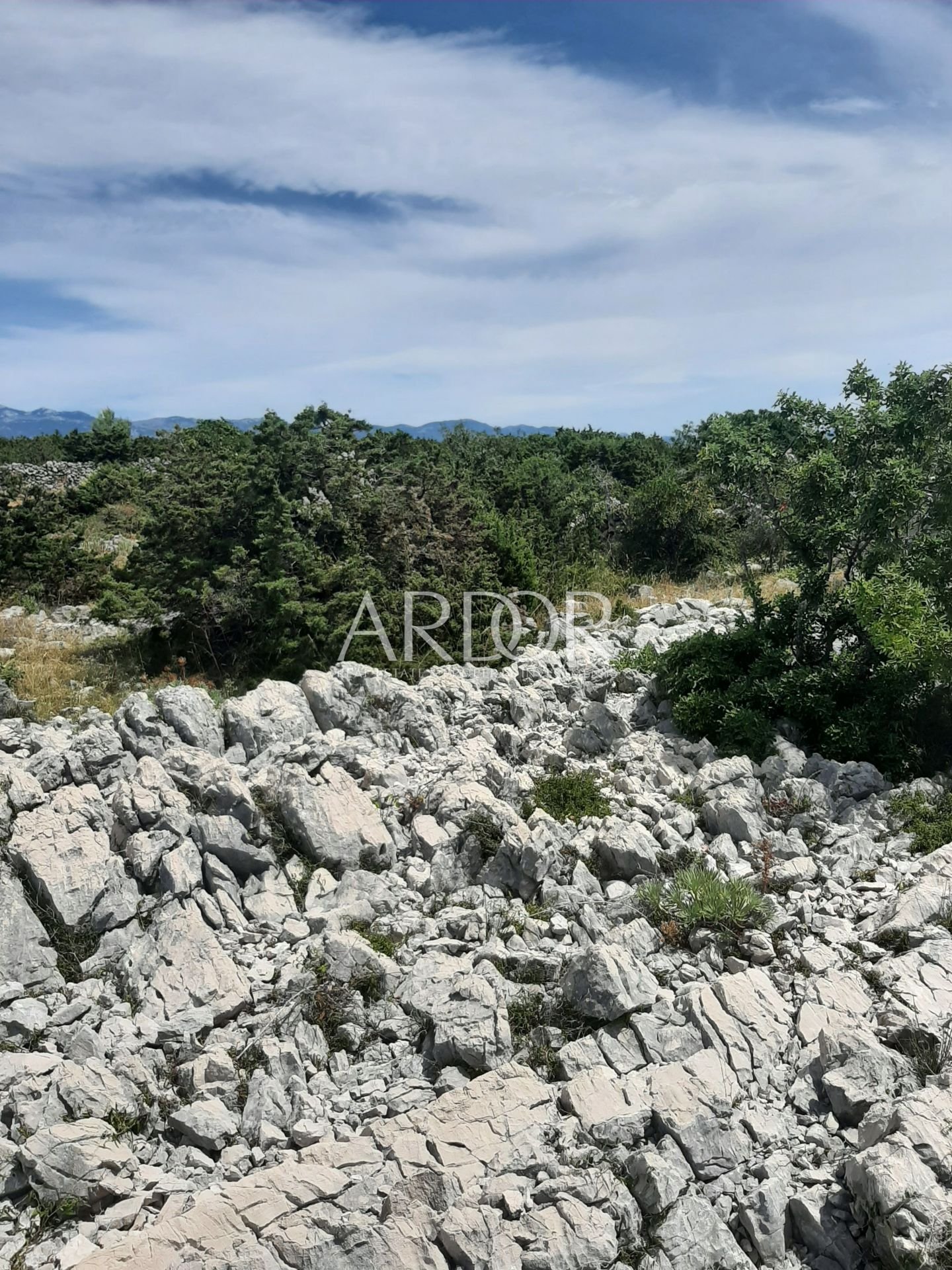 1692263297_20230801_1316101295