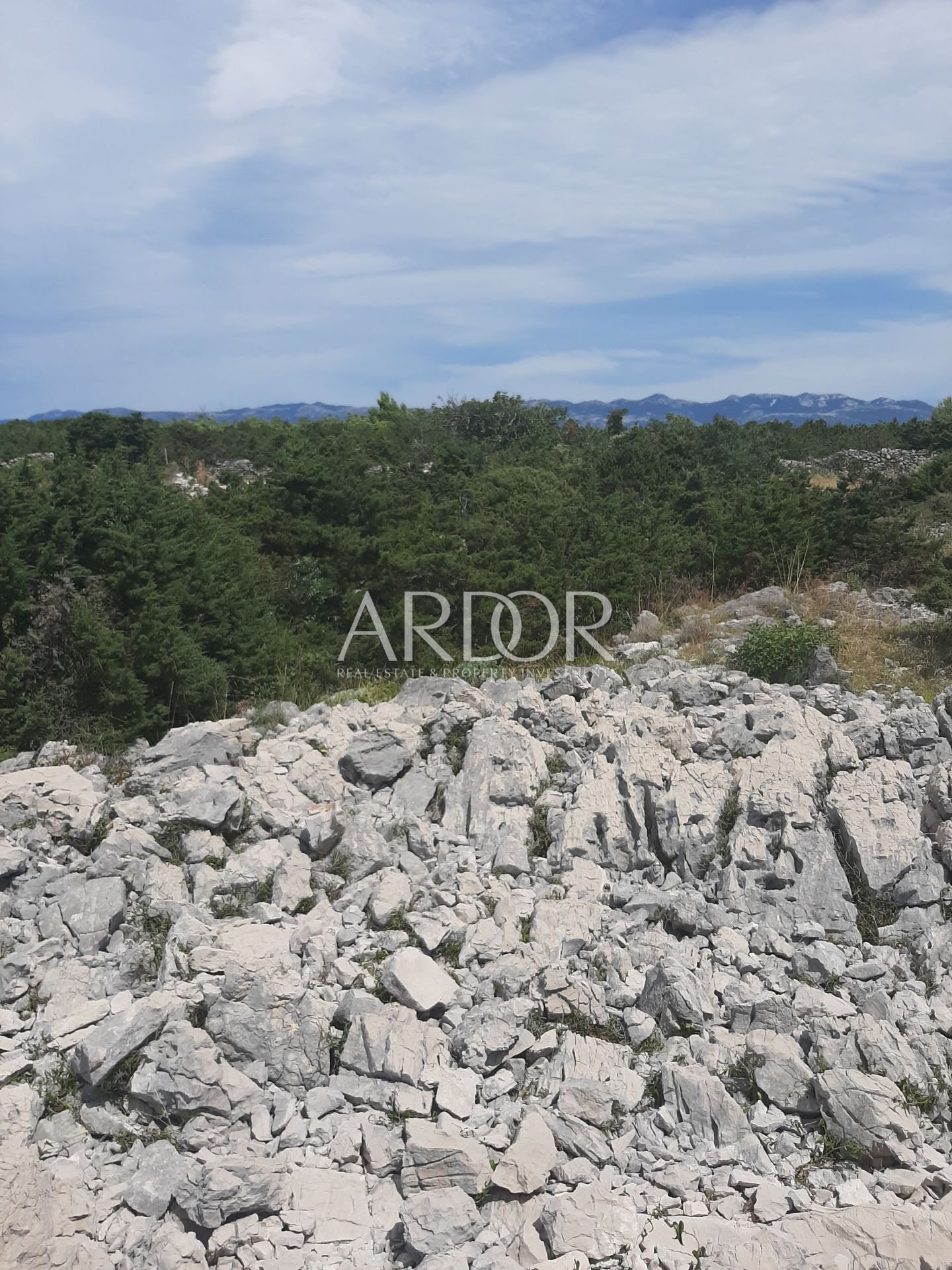 1692263302_20230801_1316121294