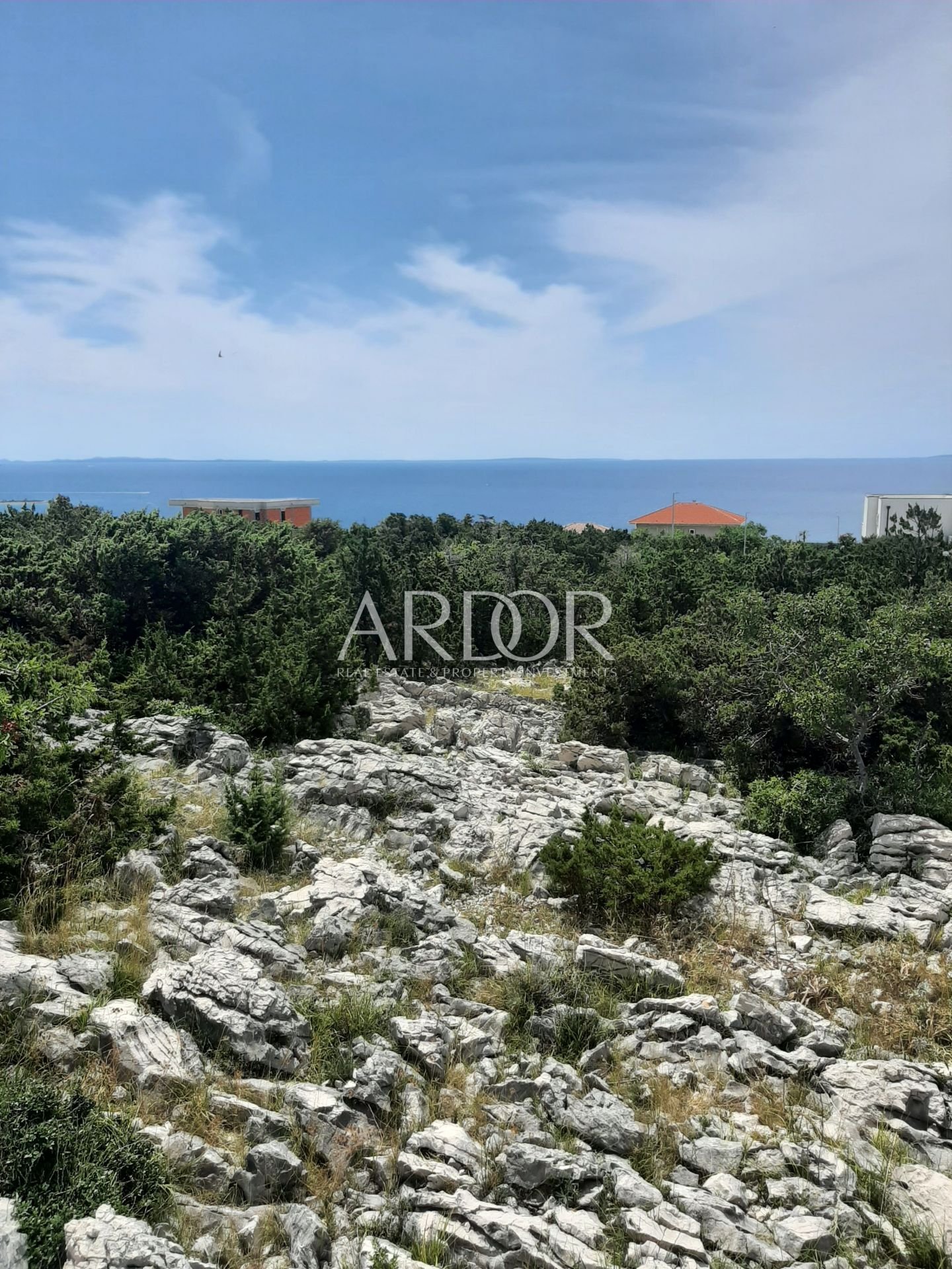 1692263309_20230801_1316191292