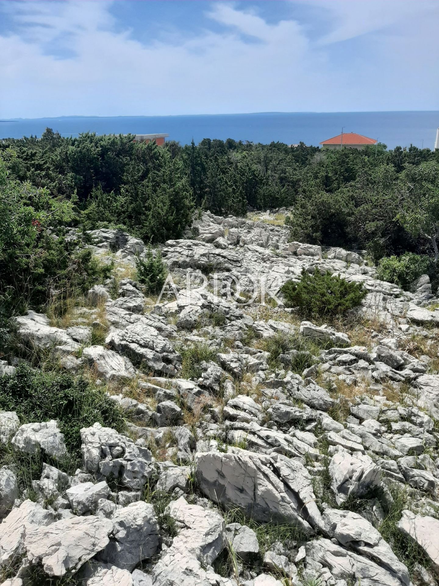 1692263313_20230801_1316211290