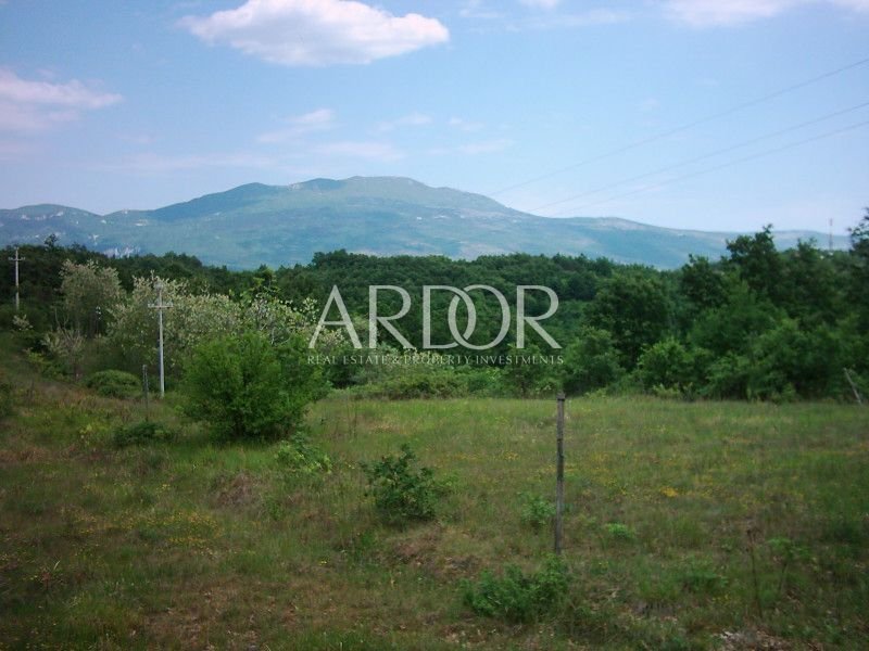 1696409566_muzarine-032