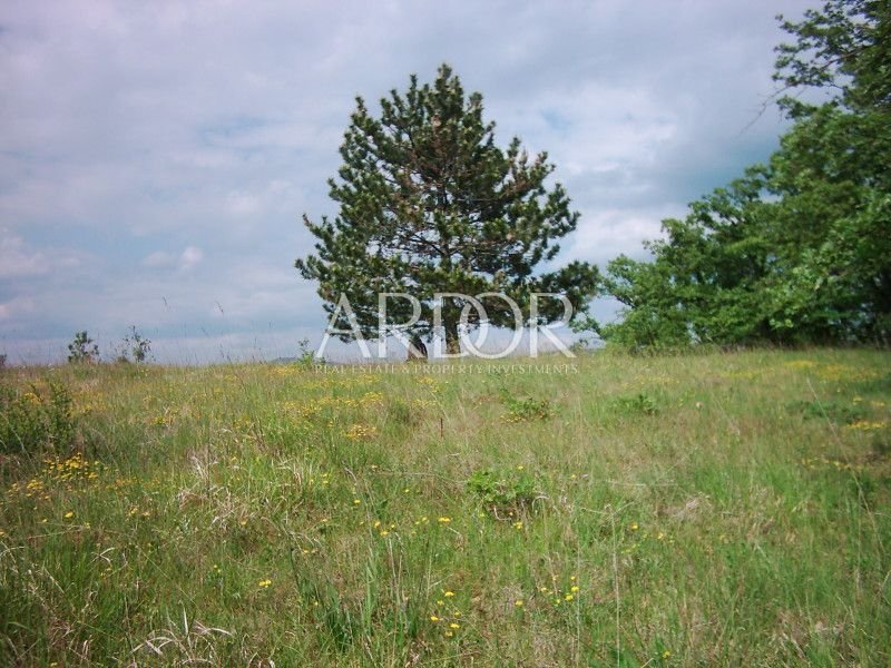 1696409572_muzarine-054