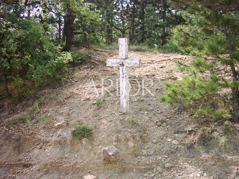 1696409578_muzarine-056