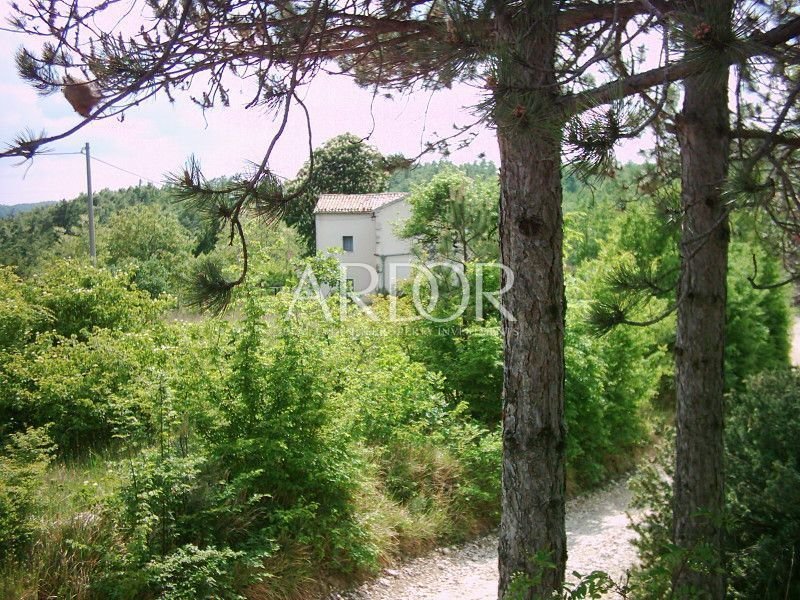 1696409581_muzarine-059