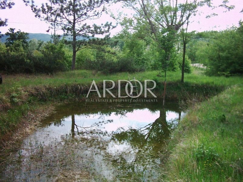 1696409587_muzarine-043