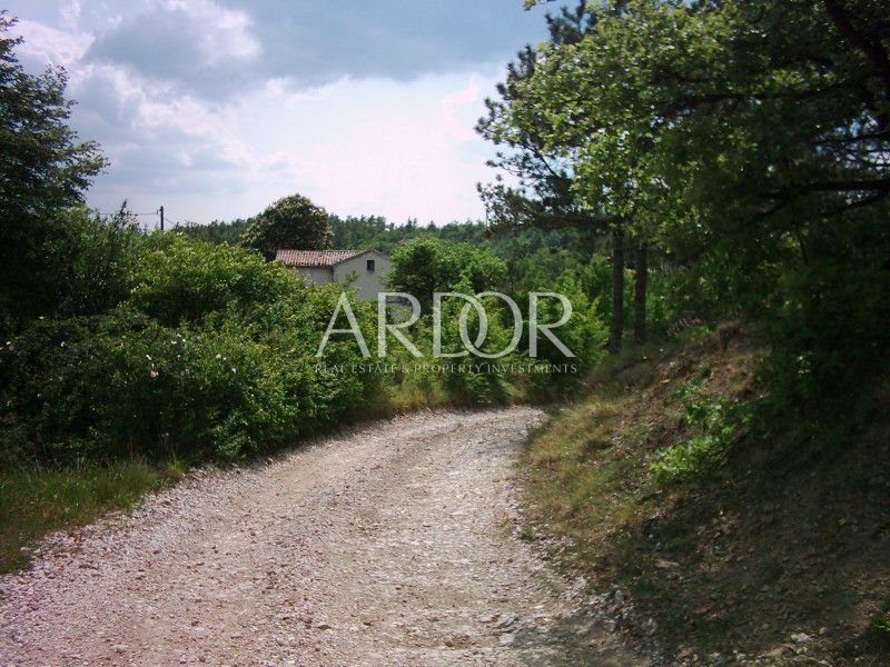 1696409589_muzarine-057