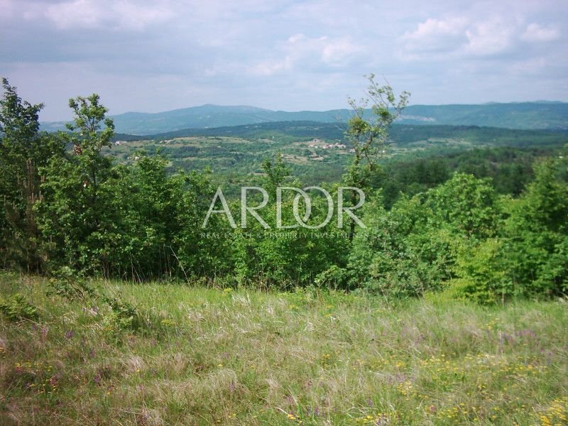 1696409592_muzarine-046