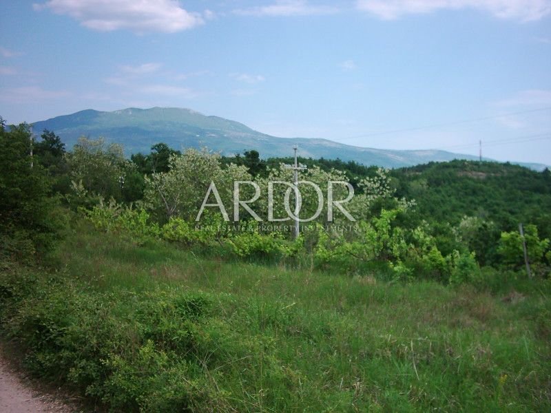 1696409598_muzarine-033