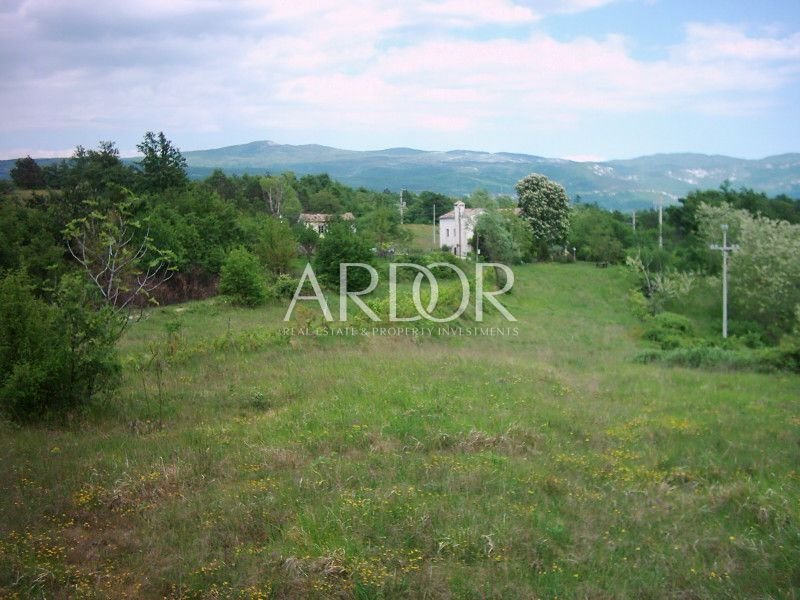 1696409604_muzarine-030