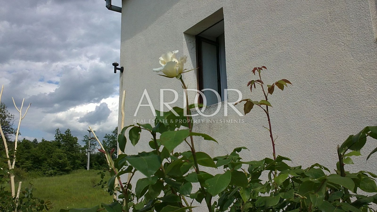 1696409641_sve-slike-18