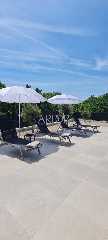 1696493768_468484281