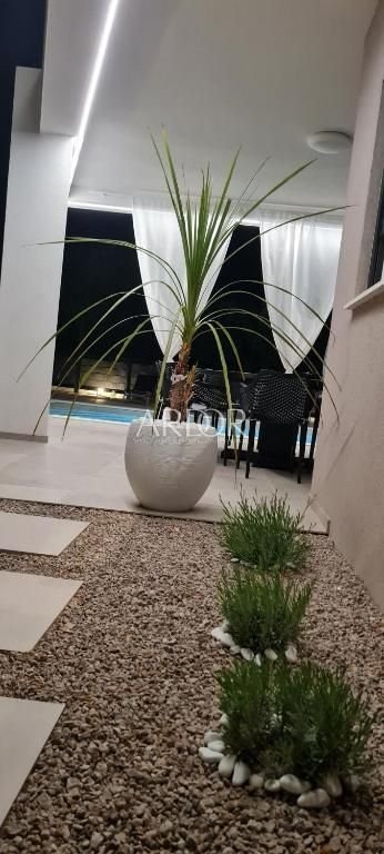 1696493769_468484283