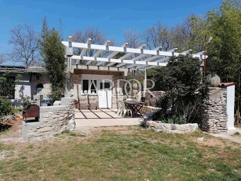 1697023387_353976406_6159747894148717_5494734819364546365_n