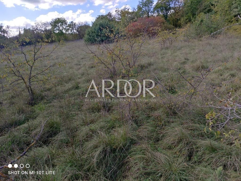 1698141128_whatsapp-slika-2023-10-24-u-11