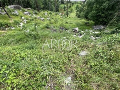 1698394743_thumb_1686675055_353125543_799641834863478_5665098389386826495_n