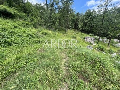 1698394745_thumb_1686675059_353175208_273268261863947_4757337169128400787_n