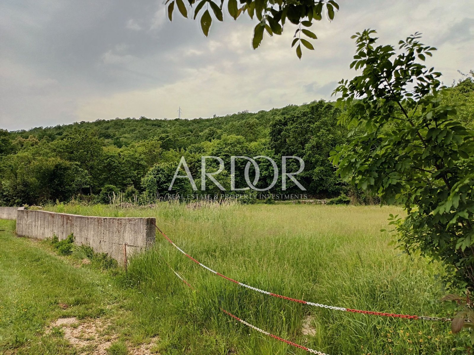 1700209584_20230520_111210