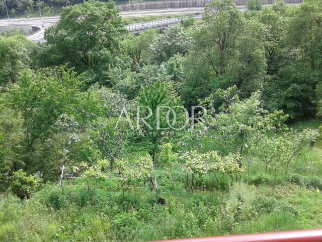 1702552894_thumb_39_15661_16d4b12a260b2_1920x0